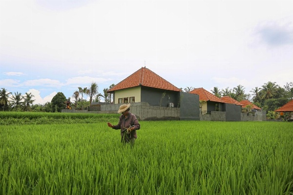 Asri Sari Villa Ubud image 1