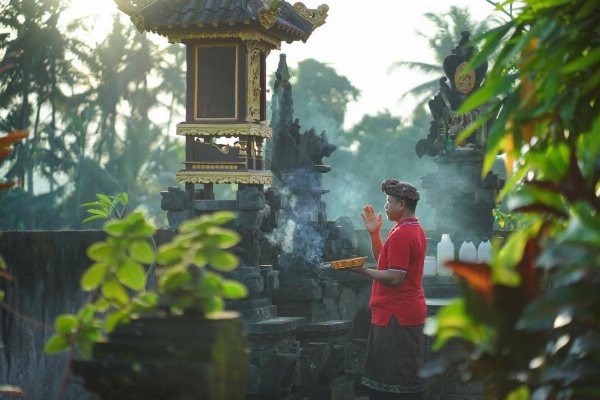 Asri Sari Villa Ubud image 13