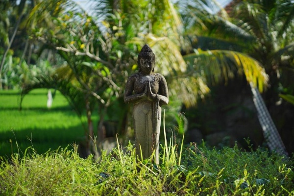 Asri Sari Villa Ubud image 15